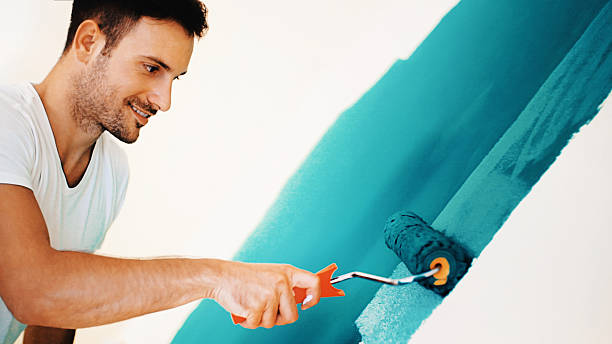 Best Residential Painting  in Spring Grove, IL